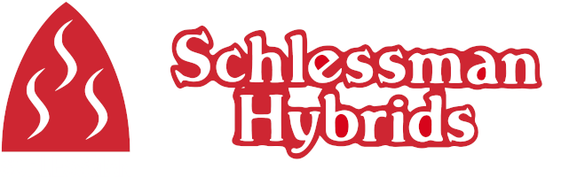 Schlessman® Logo
