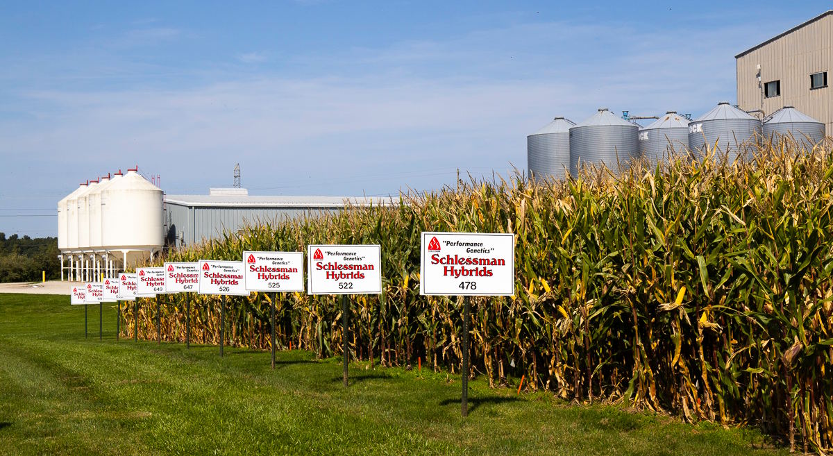 Schlessman Seed Research Plot at Processing Plant