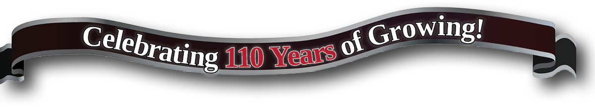 110 Year Banner