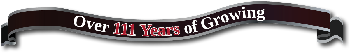 110 Year Banner